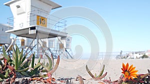 Lifeguard stand and flower, life guard tower for surfing on California beach.