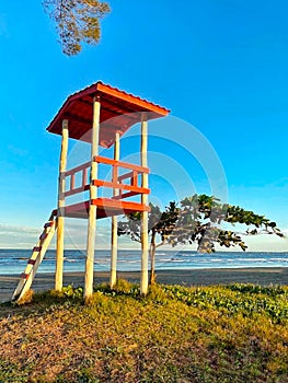 Lifeguard station by the sea with a tree, blue sky in a beautiful afternoon and grass