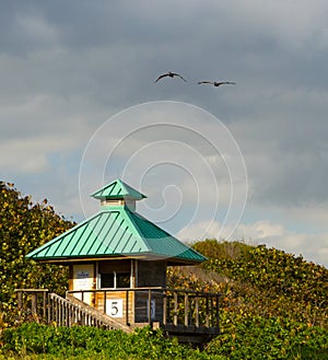 Lifeguard Tower