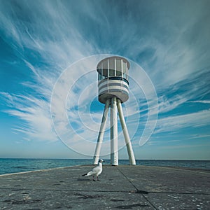 Lifeguard tower and seagull with blue sky in the background