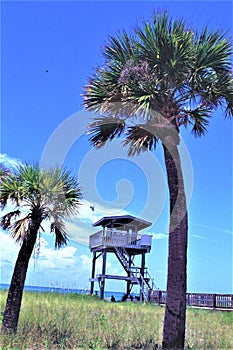 Lifeguard tower station with palm trees        vertical