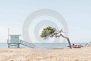 Lifeguard Tower and Tree Overlooking Beach