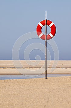 Lifeguards at the beach