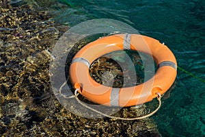 Lifeline in the red sea near coral reef