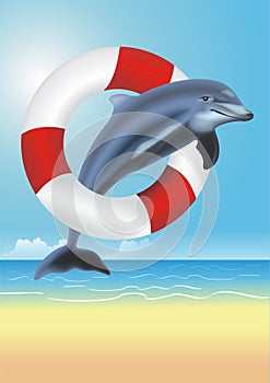 Lifesaving Dolphin Illustration