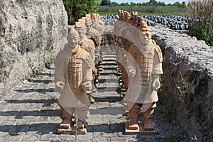 Lifesize Tera Coda Soldiers in Formation photo