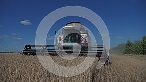 Lifestyle Combine Harvester Cutting Wheat. slow motion video. agriculture harvest concept. Combine harvesting in field