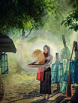 Lifestyle of rural Asian women in the field countryside thailand