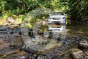 Lifestyle, travel on summer vacation with SUV 4wd adventure and exploration nature find scenery in forest, discovery white car.