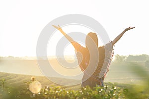 Lifestyle traveler women happy feeling good relax and freedom facing on the natural tea farm in the sunrise morning, photo