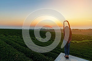 Lifestyle traveler women happy feeling good relax and freedom facing on the natural tea farm in the sunrise morning, photo