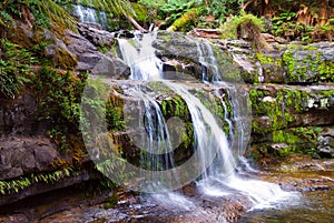 Liffey Falls