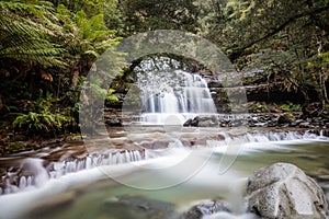 Liffey Falls lower cascade in Tasmania, Australia