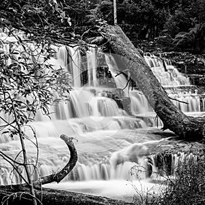 Liffey Falls in the Midlands Region, Tasmania