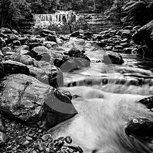 Liffey Falls in the Midlands Region, Tasmania