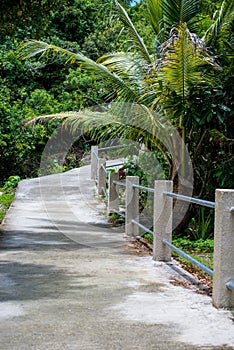 Lifou View