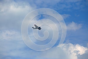 Light aircraft in beautiful contrasting clouds