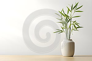Bamboo Plant in a Light and Airy Product photo