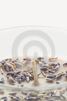 Light aromatized candle with little lavanda flowers