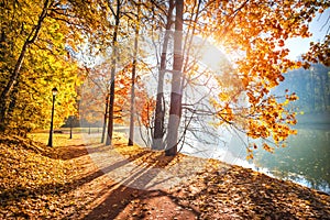 The light of the autumn sun in Tsaritsyno park