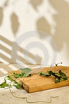 Light background with leaves and wooden board. Aesthetic mock up with wooden board and grape leaves. Trendy background with