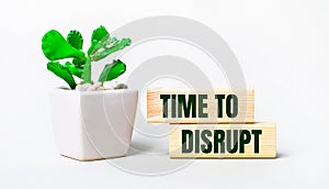 On a light background, a plant in a pot and two wooden blocks with the text TIME TO DISRUPT