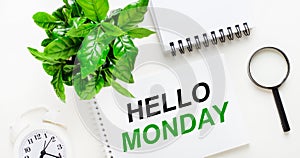 On a light background, there is a white alarm clock, a magnifying glass, a green plant and a notebook with the words HELLO MONDAY