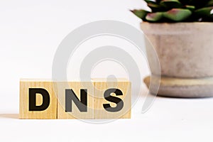 On a light background  wooden cubes with the inscription DNS and a flower in a pot. Defocus