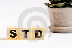 On a light background, wooden cubes with the inscription STD and a flower in a pot. Defocus