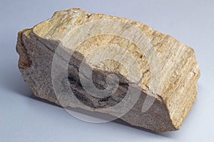 Light Baige Petrified wood