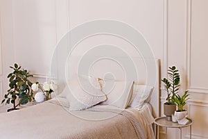 Light bedroom with white walls