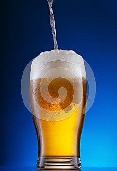 Light beer pouring into glass on blue background