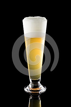 Light beer in tall glass