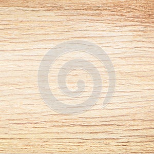 Light beige wood texture background. Natural pattern swatch template. Vector illustration