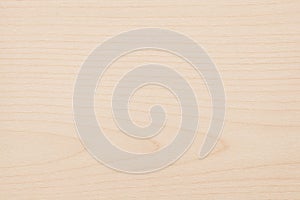 Light Birch Wood Texture Background - Smooth Natural Plywood Surface