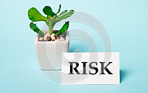On a light blue background - a potted plant and a white card with the inscription RISK