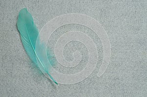 A light blue feather