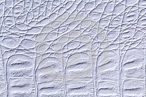 Light blue leather texture background, closeup. Gray reptile skin, macro