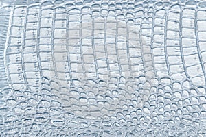 Light blue leather texture background, closeup. Reptile skin, macro