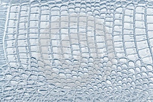 Light blue leather texture background, closeup. Reptile skin, macro photo