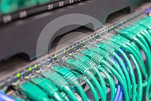 Light blue patch cord internet cables