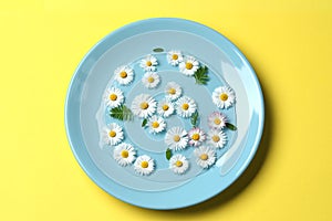 Light blue plate with water, leaves and daisy flowers on yellow background, top view