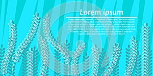 Light blue spring banner with white plants and copy space