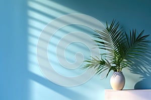 Light blue wall with shadow and leafs palm.