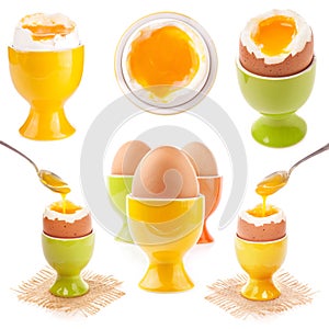 Light boiled egg in egg cup