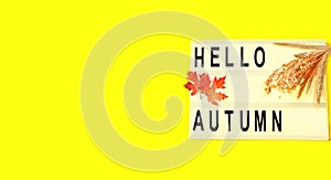 Light box with word HELLO AUTUMN, orange leaves and ears of wheat on yellow background. Creative composition for