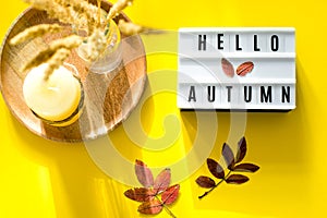 Light box words Hello Autumn on yellow background. Colorful autumn leaf, candle and dried flowers