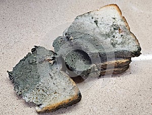 Light bread with mold