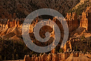 Light Brightens Layers of Hoodoos in Bryce Canyon photo