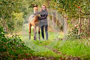 A light brown buckskin foal, the female owner stands next to the stallion Autumn Sun